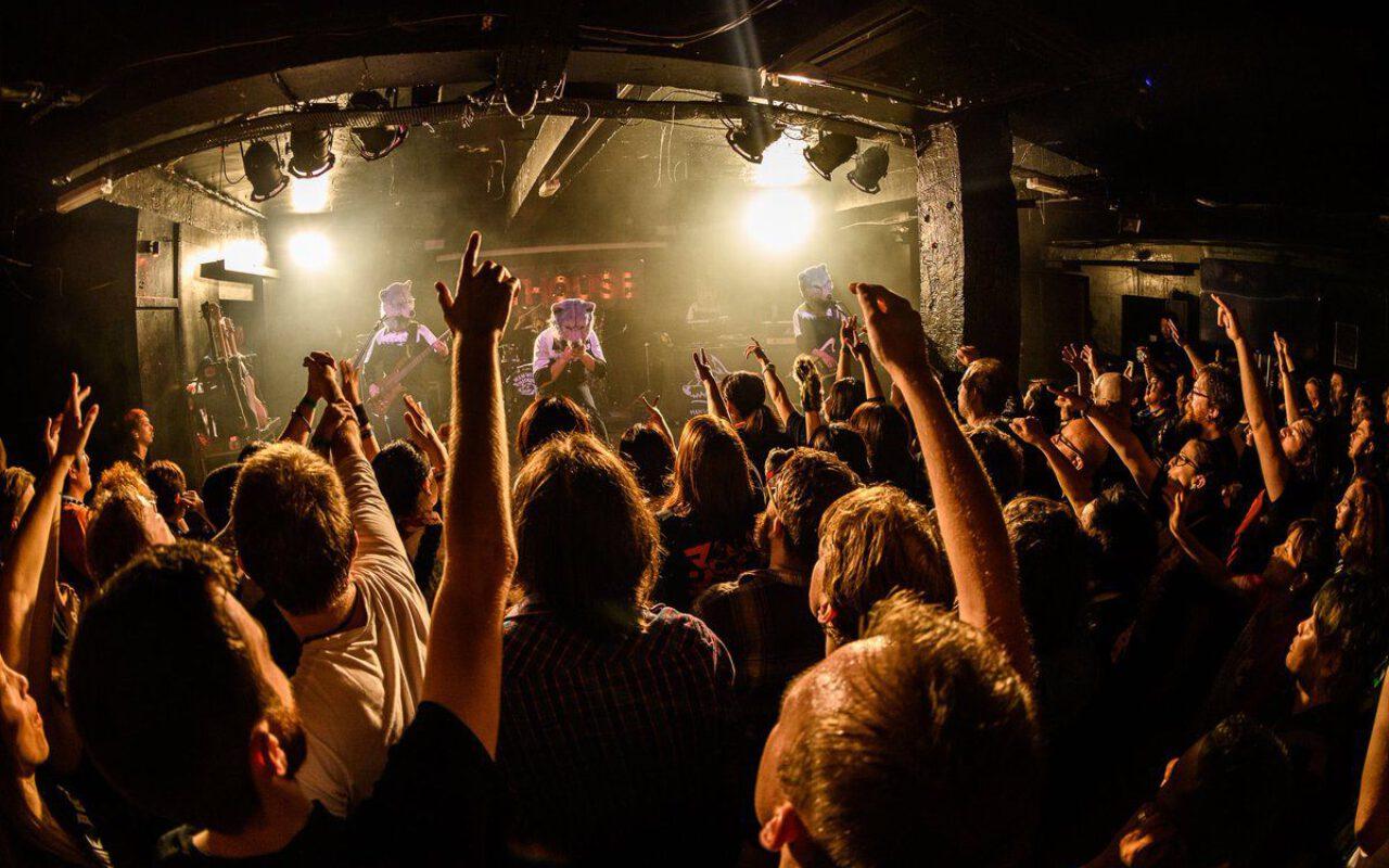 NEWS: The Cathouse set to Rock the 2019/20 season